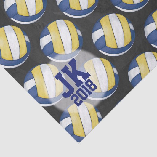 03of12 Volleybal Patroon Weefsel Papier (Detail)