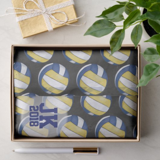 03of12 Volleybal Patroon Weefsel Papier (Geschenk)