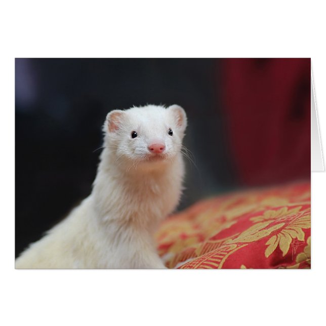 040 (Voorkant Horizontaal)