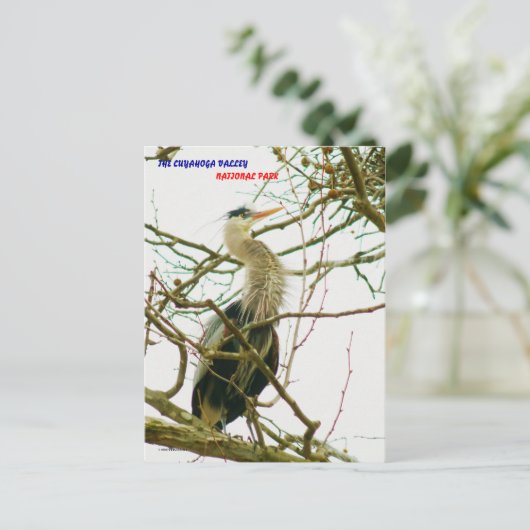 040111-145-APS BRIEFKAART (Staand voorkant)