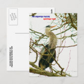 040111-145-APS BRIEFKAART (Voorkant / Achterkant)