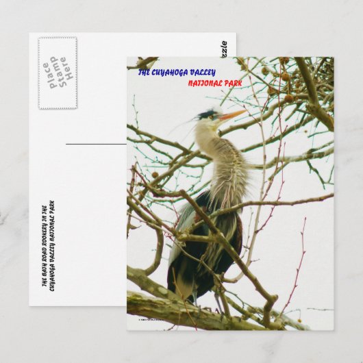 040111-145-APS BRIEFKAART (Voorkant / Achterkant)