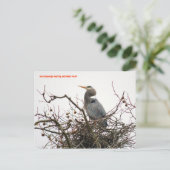 040111-70-APC BRIEFKAART (Staand voorkant)