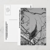 040510-9-APC BRIEFKAART (Voorkant / Achterkant)