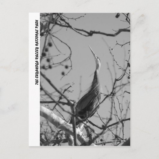 040510-9-APC BRIEFKAART (Voorkant)