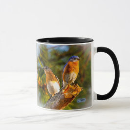 040 Bluebird Courtship 11 oz Classic Mok