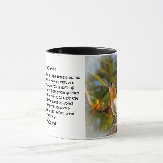 040 Bluebird Courtship 11 oz Classic Mok (Midden)