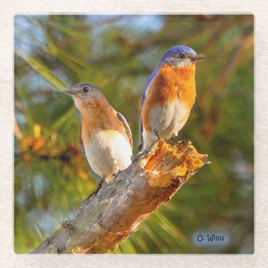 040 Bluebird Courtship 4x4 Glass Onderzetter (Voorkant)