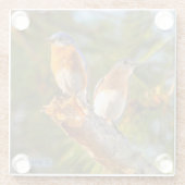 040 Bluebird Courtship 4x4 Glass Onderzetter (Achterkant)