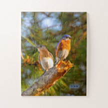 040 Bluebird Courtship Puzzle 11x14 Kinder