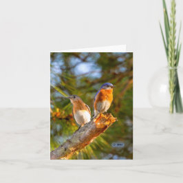 040 de Steen van de Kaart 4.25x5.5 van de Nota van