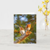 040 de Steen van de Kaart 4.25x5.5 van de Nota van (Gele Bloem)