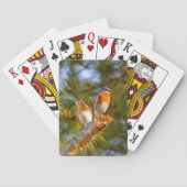 040 Kaarten voor vioolhoorder (Achterkant)