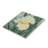 0434 Cream Iris Tegeltje (Zijkant)