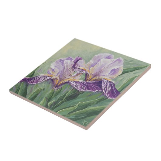 0455 Paarse Irises Tegeltje (Zijkant)