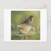 0470 Sparrow Briefkaart (Voorkant)