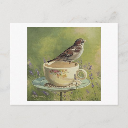 0470 Sparrow Briefkaart (Voorkant)
