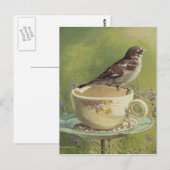 0470 Sparrow Briefkaart (Voorkant / Achterkant)