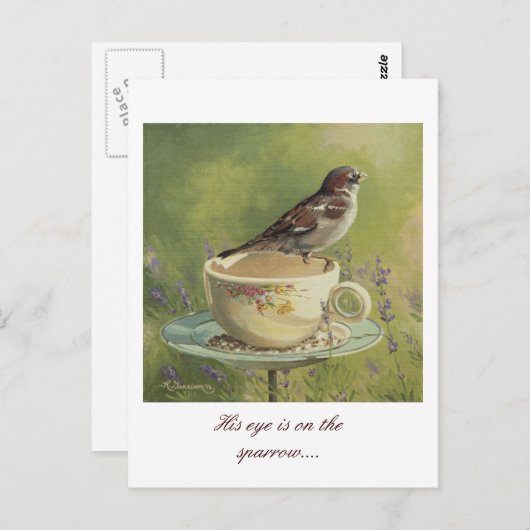 0470 Sparrow Briefkaart (Voorkant / Achterkant)