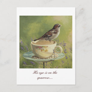 0470 Sparrow Briefkaart