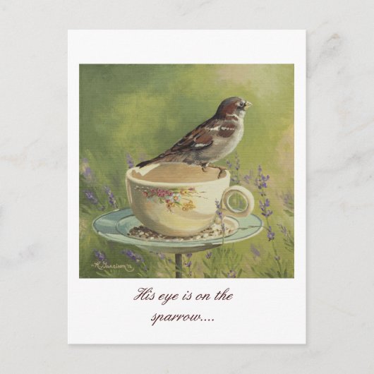 0470 Sparrow Briefkaart (Voorkant)