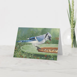 0481 Blue Jay bij feeder Birthday Card Kaart