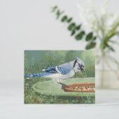 0481 Blue Jay bij invoer Briefkaart (Staand voorkant)