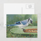 0481 Blue Jay bij invoer Briefkaart (Voorkant / Achterkant)
