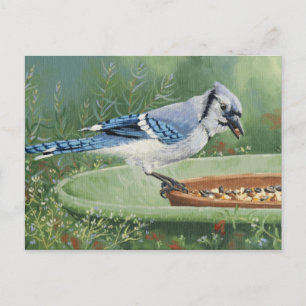 0481 Blue Jay bij invoer Briefkaart