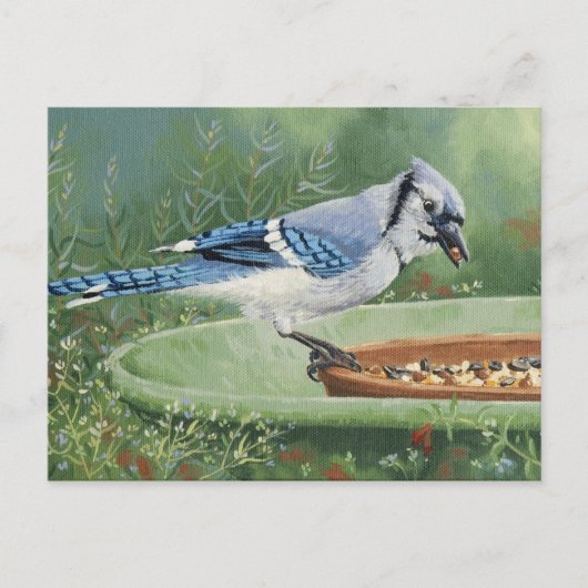 0481 Blue Jay bij invoer Briefkaart (Voorkant)