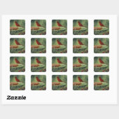 0487 Kardinale Stickers (Vel)