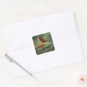 0487 Kardinale Stickers (Envelop)