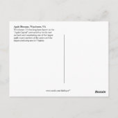 04 Apple Blossom Winchester VA Briefkaart (Achterkant)