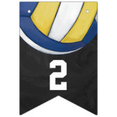 04van de 12 Volleyball-bundeling van hooggeplaatst Vlaggetjes (Eerste vlag)
