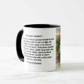 050 Blauwvogels 11 oz Klassieke Mok (Voorkant links)