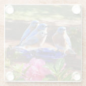 050 Blauwvogels voor 4x4 Glazen Onderzetter (Achterkant)