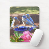 050 Blauwvogels voor altijd 7,75 x 9,25 Muismat (Met muis)