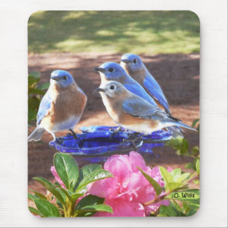 050 Blauwvogels voor altijd 7,75 x 9,25 Muismat