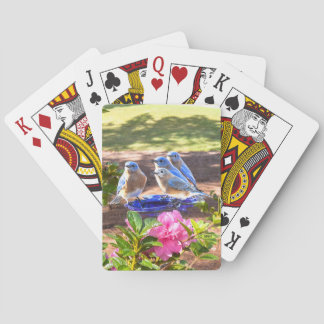 050 Blauwvogels voor het afspelen van haver Pokerkaarten