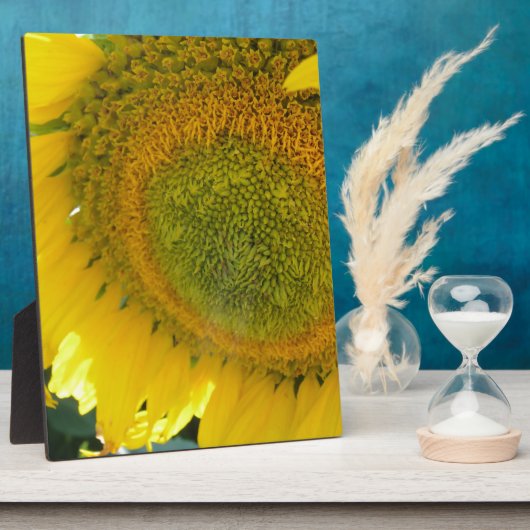 057.JPG FOTOPLAAT (Zijkant)