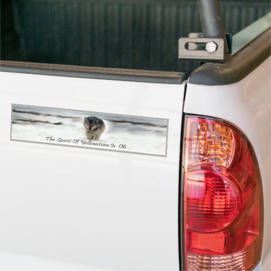 06 De legende van Lamar Valley Bumpersticker (Op Truck)