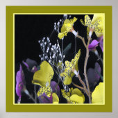 07005 bis. poster (Voorkant)