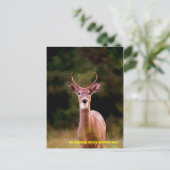 070306-34-APC BRIEFKAART (Staand voorkant)