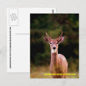 070306-34-APC BRIEFKAART (Voorkant / Achterkant)