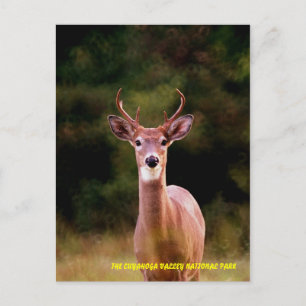 070306-34-APC BRIEFKAART