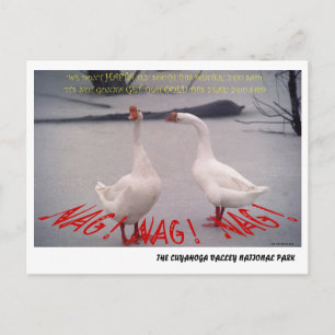 072506-10-APC NAG, NAG, NAG BRIEFKAART