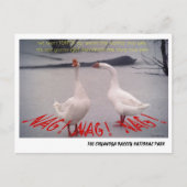 072506-10-APC NAG, NAG, NAG BRIEFKAART (Voorkant)