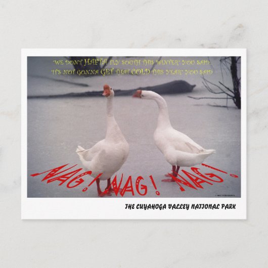 072506-10-APC NAG, NAG, NAG BRIEFKAART (Voorkant)