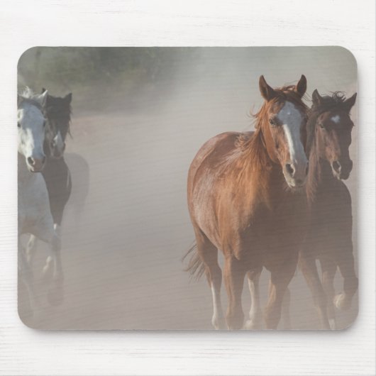 0800-Wilde Mustangs Hardlopen Muismat (Voorkant)