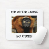 080725-roodruffed-02, RODE RUFFED LEMURS, ZO SNEL! Muismat (Met muis)